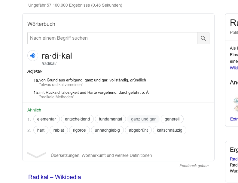 radikal-wörterbuch-via-google